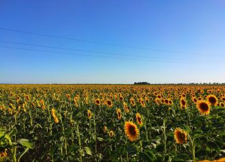 Продается участок, 6 сот., поселок Любучаны, Заводская улица