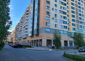 Однокомнатная квартира в аренду, 33 м2, Санкт-Петербург, проспект Космонавтов, 65к9, метро Купчино