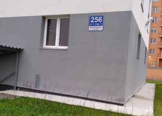 Продажа двухкомнатной квартиры, 46.2 м2, посёлок Шушары, Московское шоссе, 256к1