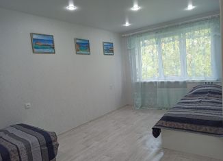 Сдается однокомнатная квартира, 31 м2, Новгородская область, улица Зелинского, 31