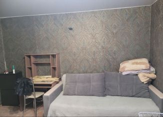 1-комнатная квартира в аренду, 20 м2, Томская область, Новосибирская улица, 35