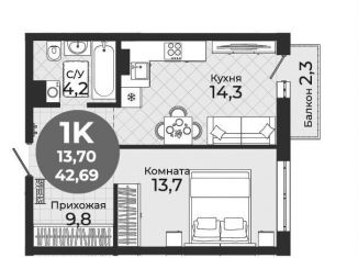 Продаю 1-ком. квартиру, 42.7 м2, Новосибирск