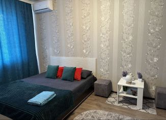 1-комнатная квартира в аренду, 38 м2, Ставрополь, улица Рогожникова, 9, Промышленный район