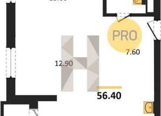 2-комнатная квартира на продажу, 56.4 м2, Новосибирск, метро Берёзовая роща, улица Фрунзе, с1