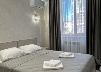 Сдача в аренду 1-ком. квартиры, 45 м2, Ставропольский край, улица Пестова, 5к3