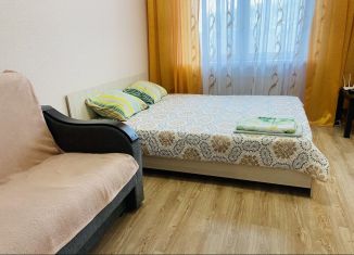 Сдам квартиру студию, 30 м2, Новосибирск, улица Петухова, метро Площадь Маркса