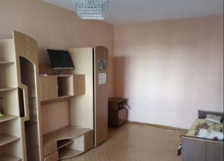 Сдается двухкомнатная квартира, 43 м2, Новосибирск, улица Зорге, 229