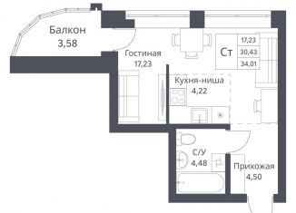 Продаю квартиру студию, 30.4 м2, Новосибирская область