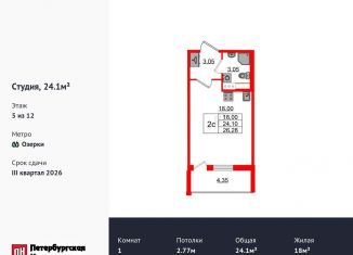 Продам квартиру студию, 24.1 м2, Санкт-Петербург, метро Озерки