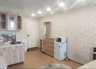 Квартира в аренду студия, 20.5 м2, Новосибирская область, проспект Мира, 16