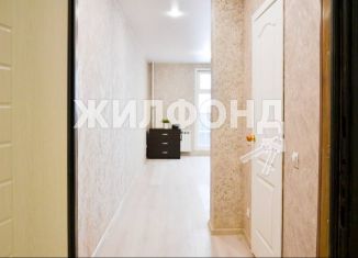 Продается 1-комнатная квартира, 22.7 м2, Новосибирск, улица Забалуева, 92, метро Площадь Маркса