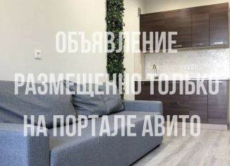 Квартира в аренду студия, 20 м2, Новосибирск, Кубовая улица, 53, ЖК Солнечные Часы