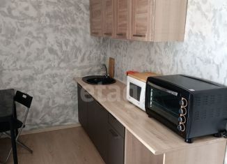 Квартира на продажу студия, 33 м2, Новосибирск, улица Николая Сотникова, 14, метро Студенческая