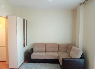 Квартира в аренду студия, 24 м2, Красноярск, улица Борисова, 30, ЖК Орбита
