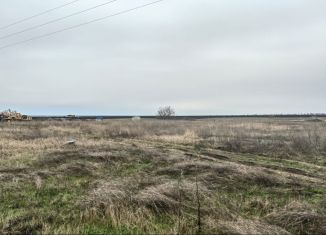 Земельный участок на продажу, 230 сот., село Рышково