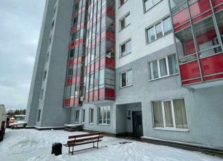 Сдаю квартиру студию, 32 м2, городской посёлок Янино-1, Новая улица, 11А, ЖК Янинский Каскад-2