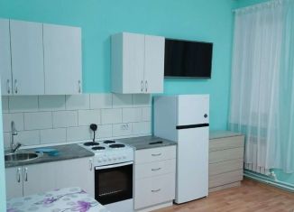 Квартира в аренду студия, 30 м2, Вятские Поляны, улица Тойменка, 4