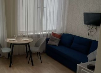 Квартира в аренду студия, 30 м2, Тюменская область, улица Газовиков, 34