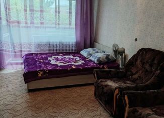 2-комнатная квартира в аренду, 48 м2, Новосибирск, улица Челюскинцев, 36, метро Красный проспект