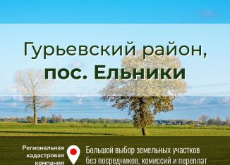 Продажа земельного участка, 12.7 сот., Калининградская область, Еловая улица