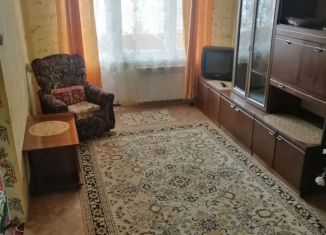 Сдается 1-ком. квартира, 29.7 м2, Богородск, улица Туркова, 13А