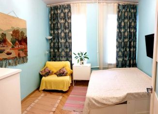 Сдается 1-комнатная квартира, 30 м2, Санкт-Петербург, Лиговский проспект, 177, метро Обводный канал