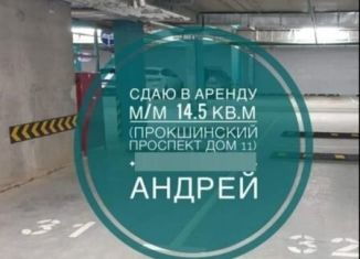 Машиноместо в аренду, 15 м2, поселение Сосенское, Прокшинский проспект, 11