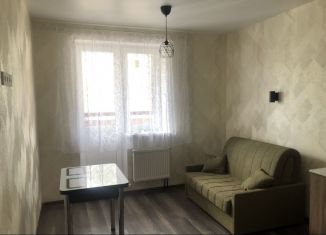 Квартира в аренду студия, 25 м2, Жуковский, Нижегородская улица, 31А