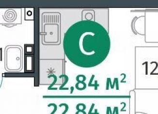 Квартира на продажу студия, 22.8 м2, деревня Дударева