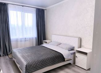 Сдаю в аренду 2-ком. квартиру, 50 м2, Кисловодск, Красивая улица, 23