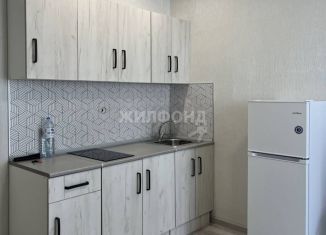 Продается квартира студия, 19.6 м2, Новосибирск, улица Забалуева, 102/1