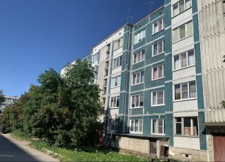 Продается 2-комнатная квартира, 55 м2, Ленинградская область, Школьная улица, 12