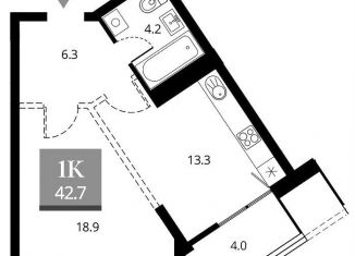 Продажа 1-комнатной квартиры, 44.7 м2, Новосибирск, метро Площадь Гарина-Михайловского, Прибрежная улица, 4/2