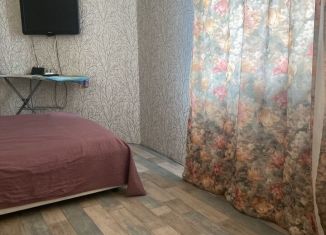 Сдаю 2-ком. квартиру, 50 м2, Воронеж, набережная Максима Горького, 49Б, ЖК Парк Горького