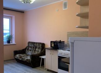 Сдается 1-ком. квартира, 34 м2, Арамиль, улица Мира