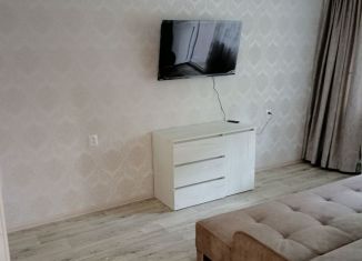 Аренда 1-ком. квартиры, 35 м2, Сочи, улица Кирова, 77