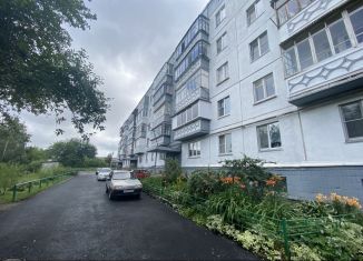 Двухкомнатная квартира на продажу, 53 м2, Чебаркуль, улица Крылова, 20Б