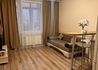 Квартира в аренду студия, 25 м2, Калининград, улица Олега Кошевого, 30