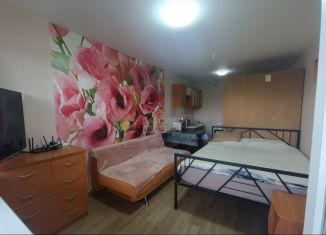 Продам квартиру студию, 23 м2, Ижевск, Нижняя улица, 2