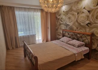 Аренда однокомнатной квартиры, 50 м2, Элиста, улица Илишкина, 3