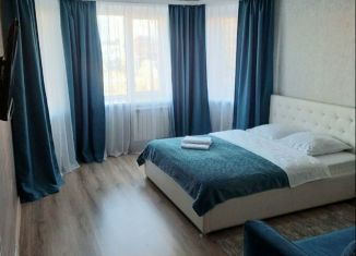 Сдается 1-комнатная квартира, 40 м2, Абакан, улица Авиаторов, 6А