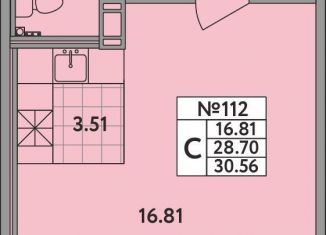 Продается квартира студия, 28.7 м2, деревня Новое Девяткино, деревня Новое Девяткино, 115, ЖК Удача