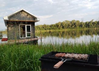 Сдается в аренду дом, 27 м2, деревня Суровка