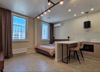 Продам квартиру студию, 26 м2, Москва, Берёзовая аллея, 19к1