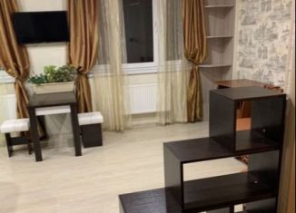 Сдам в аренду квартиру студию, 30 м2, деревня Щемилово, улица Орлова, 10