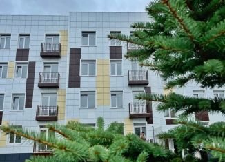 Продажа 1-комнатной квартиры, 45.1 м2, Оренбургская область, Станочный переулок, 19