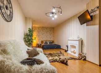 Сдаю 1-ком. квартиру, 54 м2, Екатеринбург, улица Радищева, 33