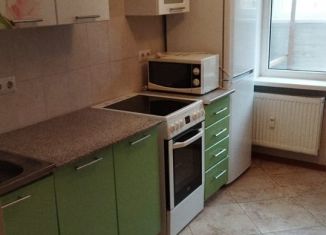 Сдается 1-ком. квартира, 36 м2, Мурино, Петровский бульвар, 7, ЖК Ласточка