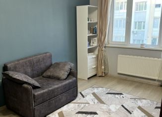 Сдается 1-ком. квартира, 40 м2, деревня Чёрная, Широкая улица