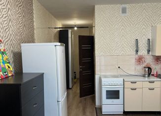 Сдача в аренду квартиры студии, 30 м2, Новосибирск, улица Станиславского, 18/1, ЖК Тихвинский Квартал